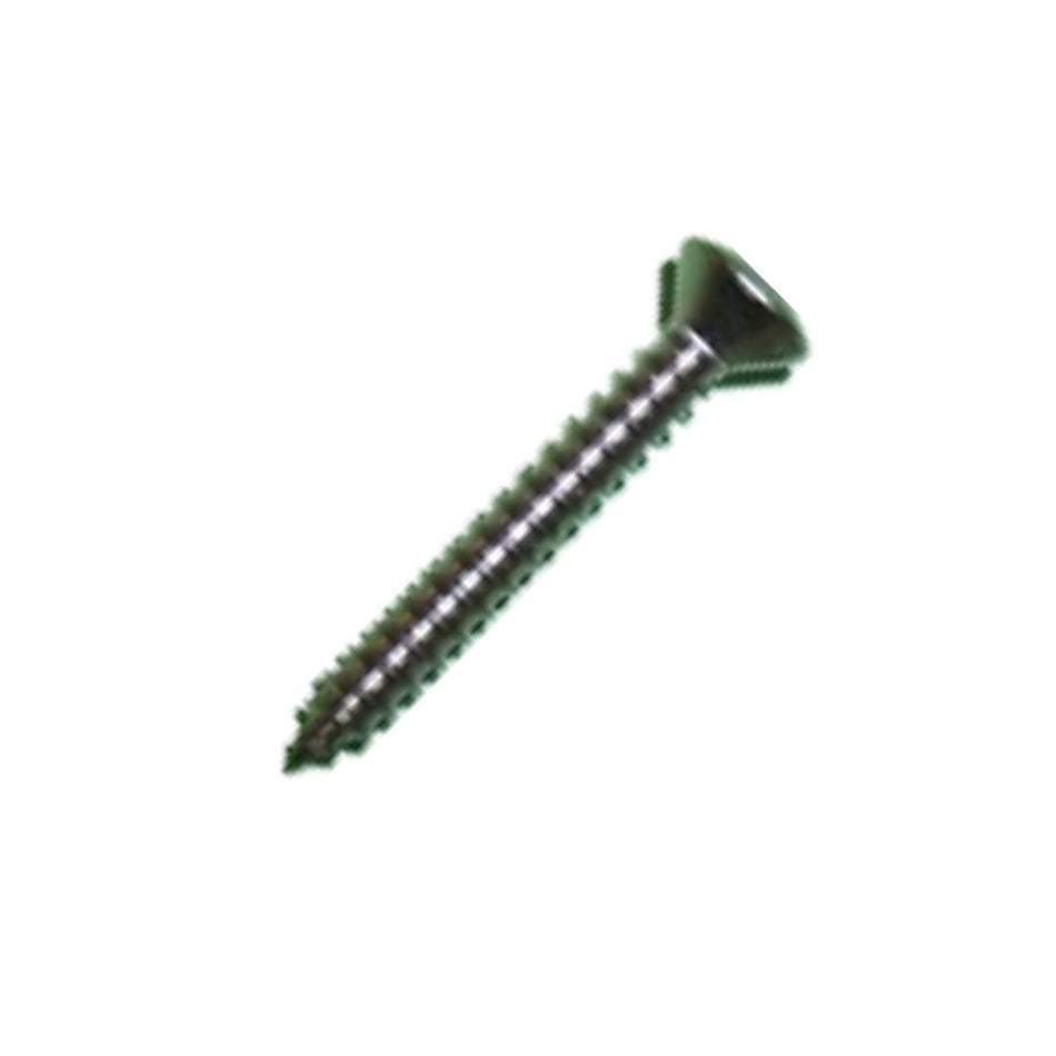 SCREW #6 1" RCSK Slot Stainless Steel Dome Counter Sunk